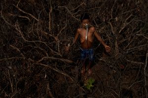 ANTHROPOGENIC 004