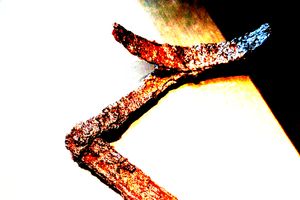 Nocturne (5)