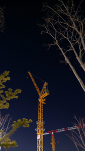 Crane at Night