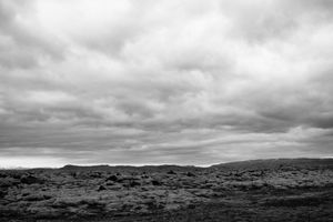 THE WASTE LAND BLUES