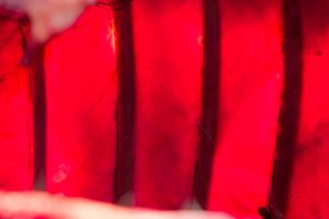 Red as blood