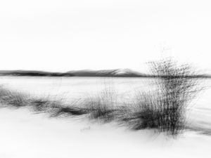 The stillness in between