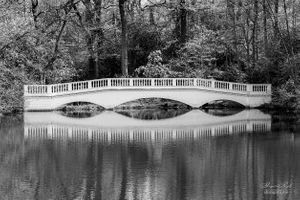 Hampstead Heath | 17