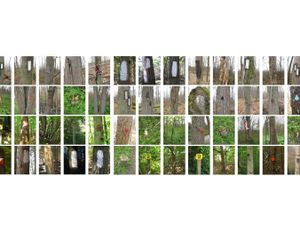 Demarcations installation variation