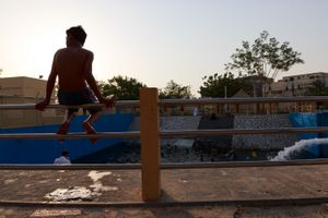 Taking a rest from swimming on the fence of the pool