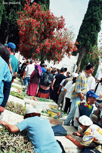 Memorial day 1997-2007