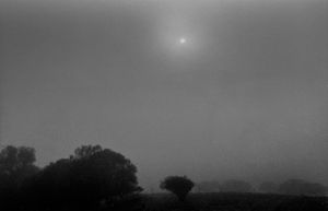dark alentejo