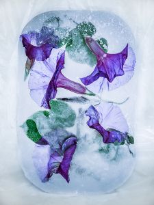 Cold Cold VIII