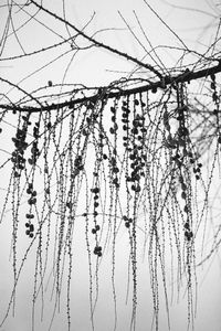 © Emma Godfrey