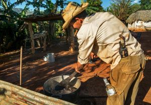 Vinales, 2014