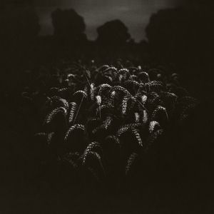 Broken Shadow #29
