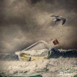 Kite in a bottle