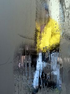 Yellow Jacket
