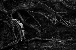 Tree roots