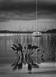Beside the water II