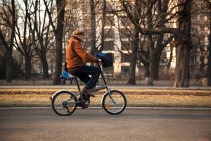 Saxon Gardens © Silvia Dominguez