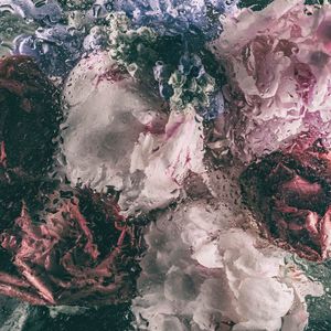 Evergreen-02.jpg