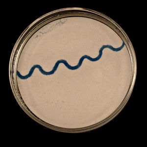 Syphilis Four