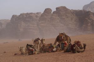 Wadi Rum 2