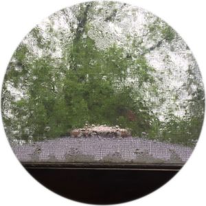 Condensed Landscape 8
