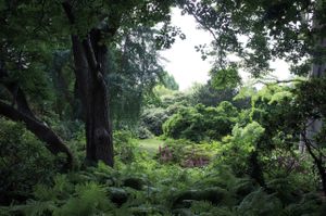 'Now, for the Garden' - Berggarten, Hanover, Germany © Mireille Schellhorn 2012