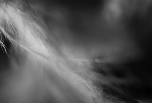 Trajectories