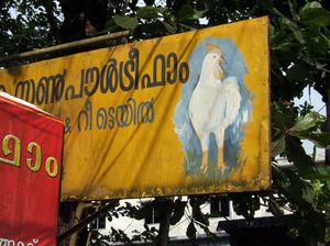 On yellow, between Thekkady and Kochi, Kerala, 2010.