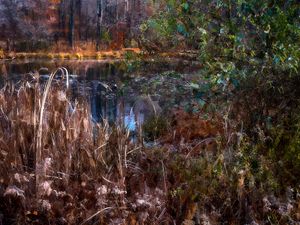 Hyaline Pond