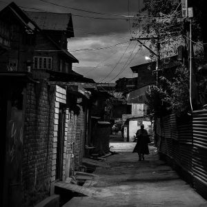 Suspended Moments - Roots