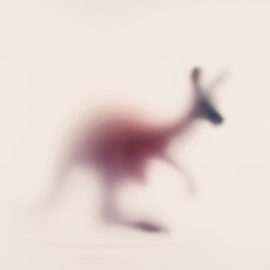 Wildblur-zoo-03.jpg