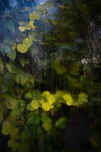 Jardin Urbain
