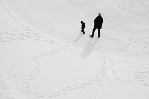 Radiography of a journey. Bernina Express from Tirano to St. Moritz