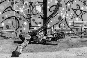 A walk along the Danube canal, Vienna | 03
