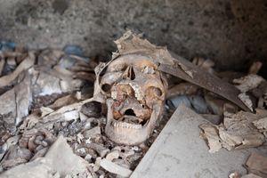 Skull, Maa Cemetery