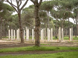 Abuse building in the pine forest of Ostia