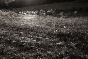 Fragments  #5