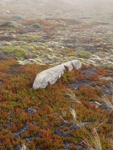 Point Reyes 5