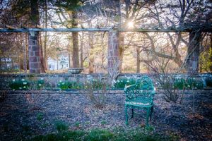 Rose Garden