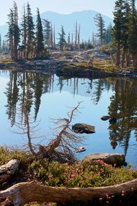 Disk's Peak 9.974' and Doris Lake #2