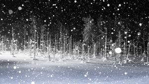 Snowy night