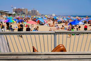 Sun and Cell in Coney Island