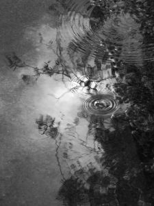 Beside the water II