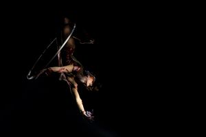 Aerial Art - Elegance - Lucioza