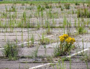 repossession #1 - Closing of a Dream