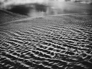 Beside the water II