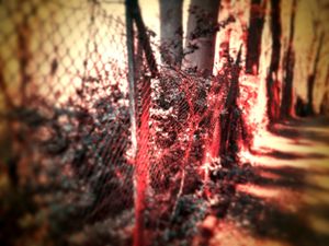 Gate to Hell © Jürgen Novotny (Germany 2008)