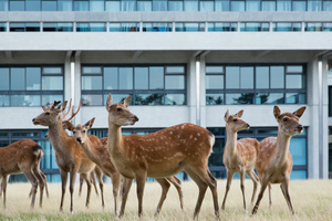 My Colleagues
