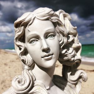 THE VENUS PROJECT