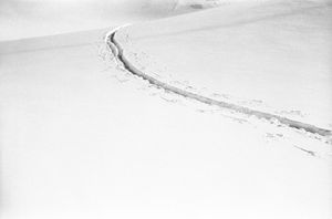 Nel Bianco
