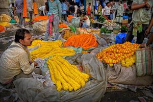Asia's Largest Flower Market